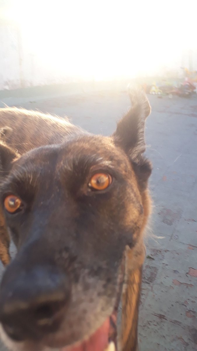 asap_lua's tweet image. tweet apreciación rayita (en la ultima se habia mandado una cagada)