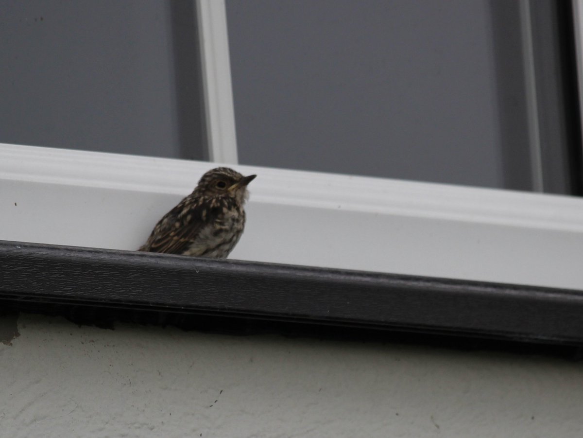 @SWTCLUN tweet media