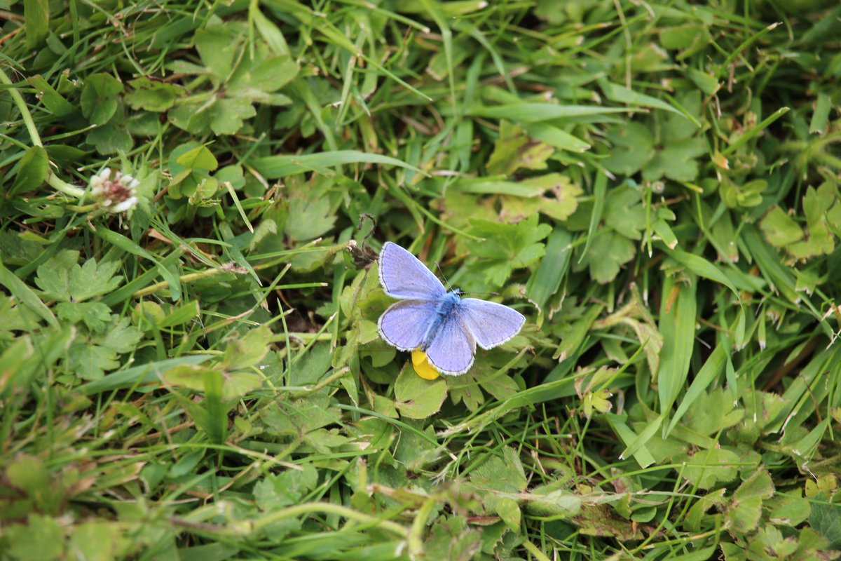 @SWTCLUN tweet media