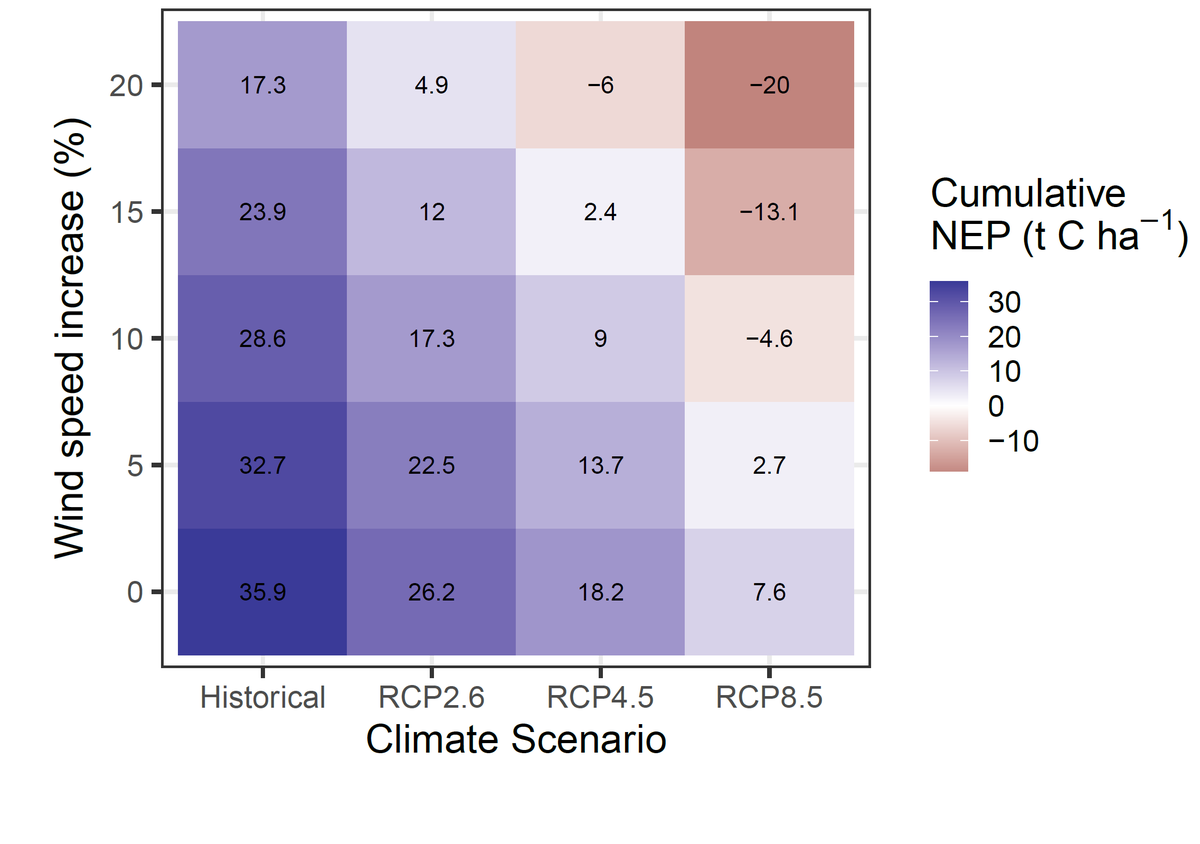 RupertSeidl's tweet photo. The effect of increasing disturbances and warming on the carbon balance of a mountain forest ecosystem. New study out, led by @K_Albrich w/ @dominikthom1 @RammerWerner Spoiler: Warming and disturbances interact and could turn the system from sink to source https://t.co/jIA0MdIUSi https://t.co/rBq0q8kanM