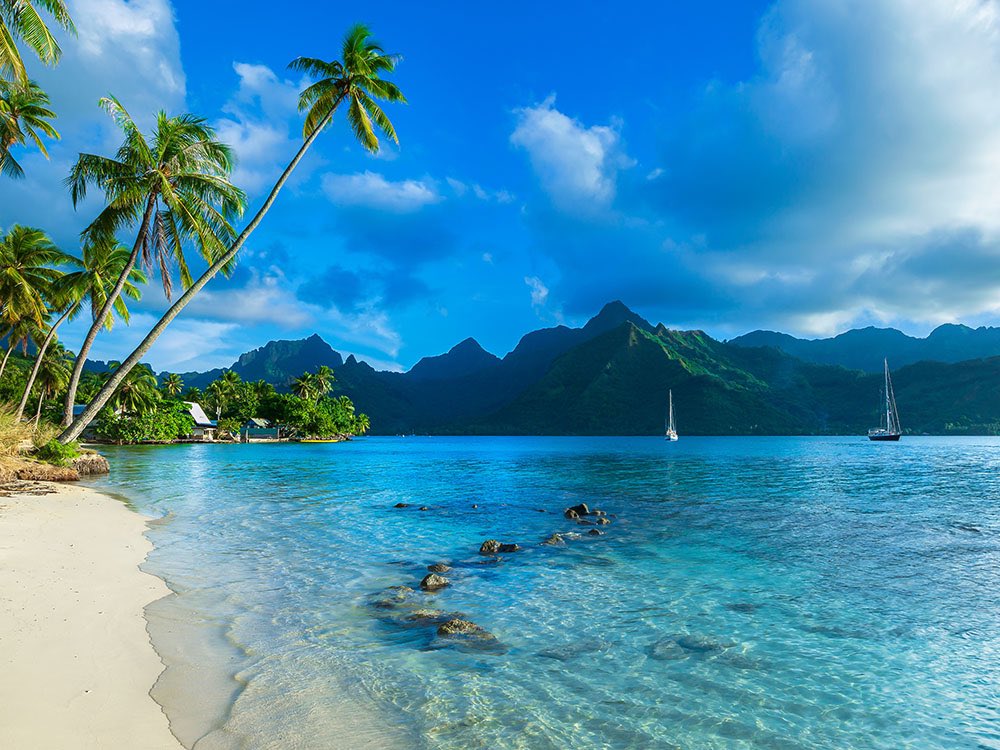 Abigailpido's tweet photo. Moorea, French Polynesia 🇵🇫 

#FrenchPolynesia https://t.co/L1uDbiw7R1