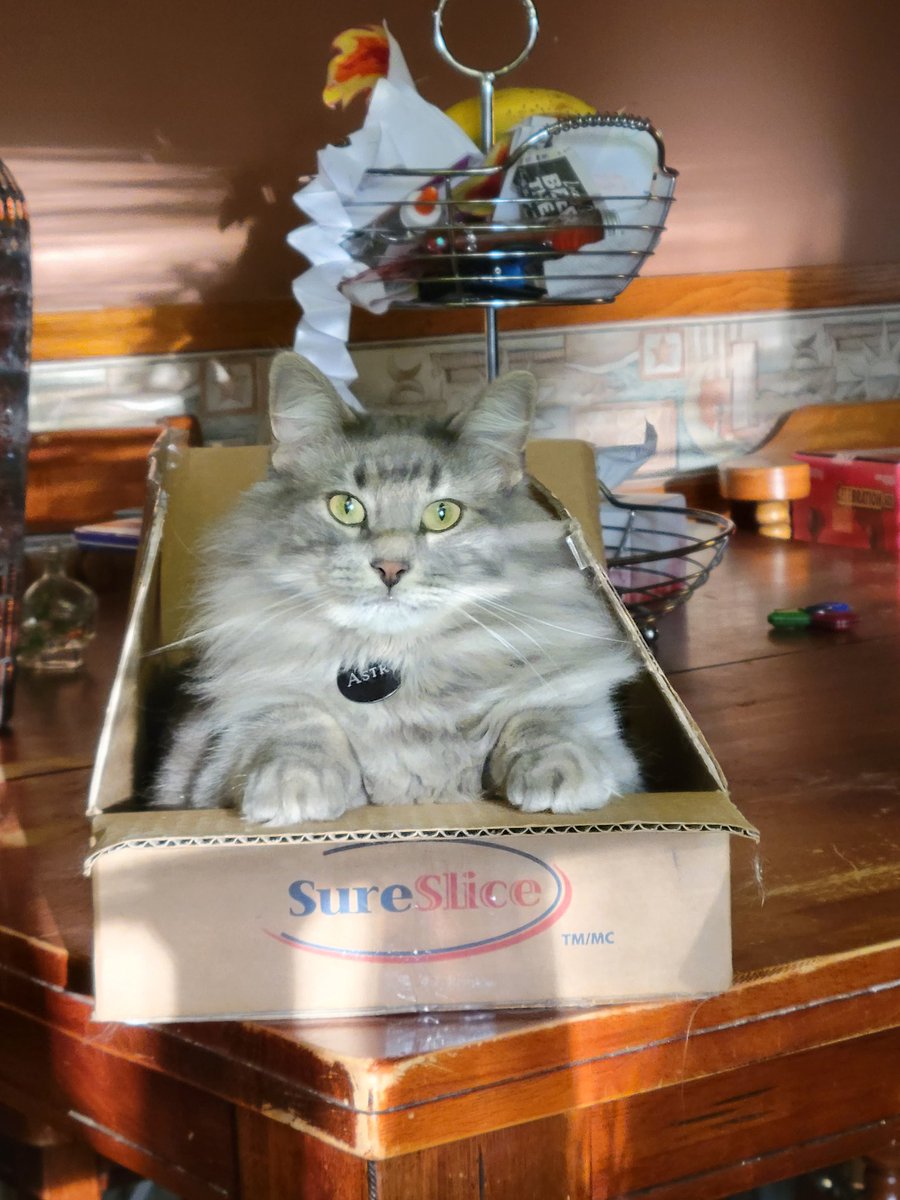 Sam_Faes's tweet image. He owns this store