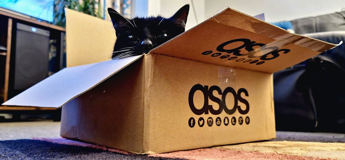 Declan Maile tweet media