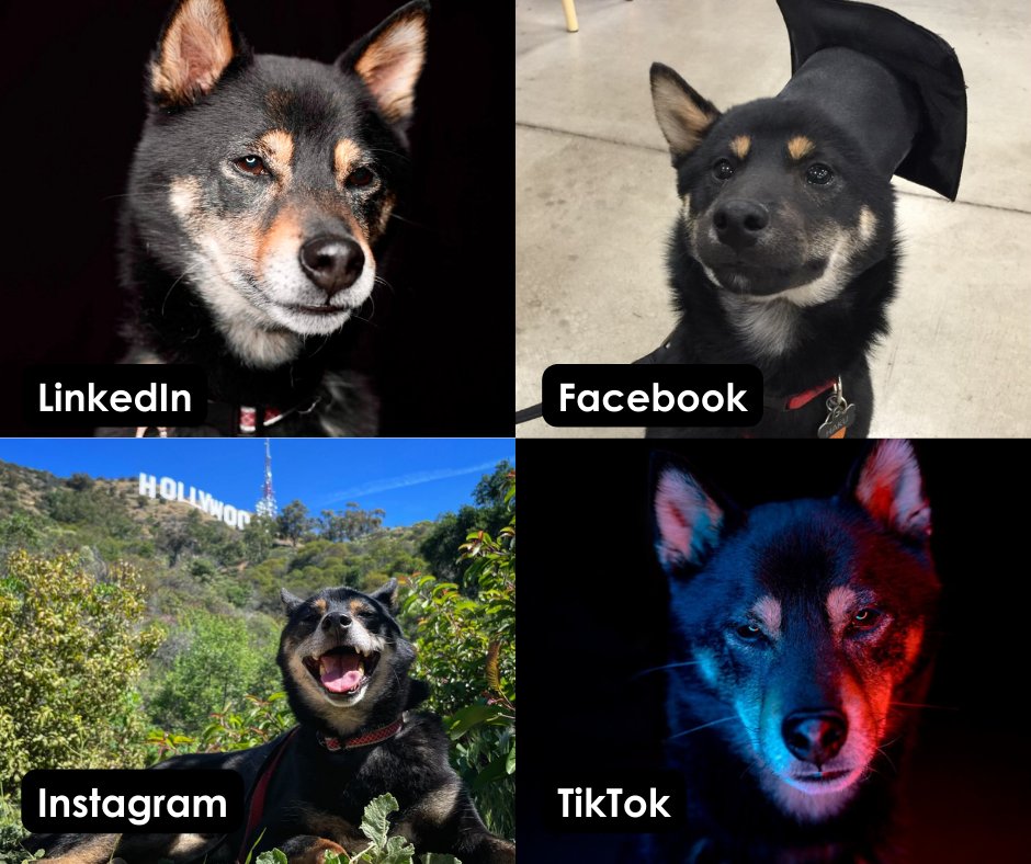 Philosophy Communication tweet media