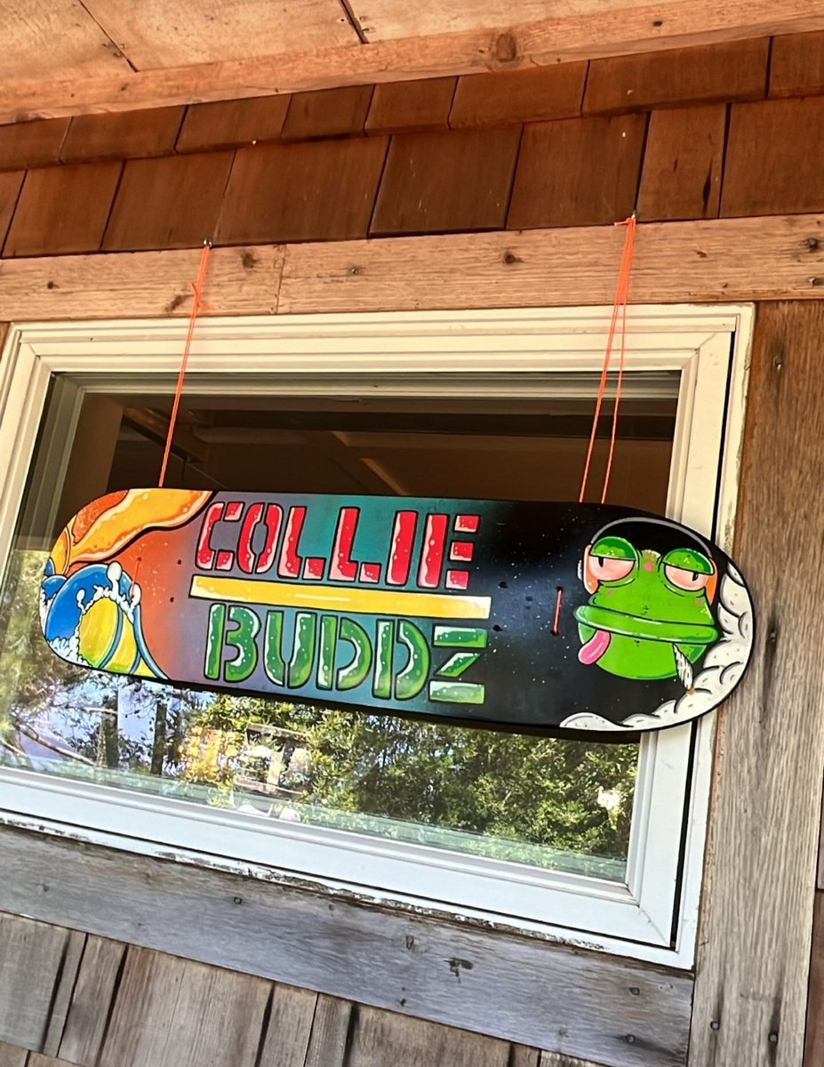 TwistedTreeFrogMassive tweet media