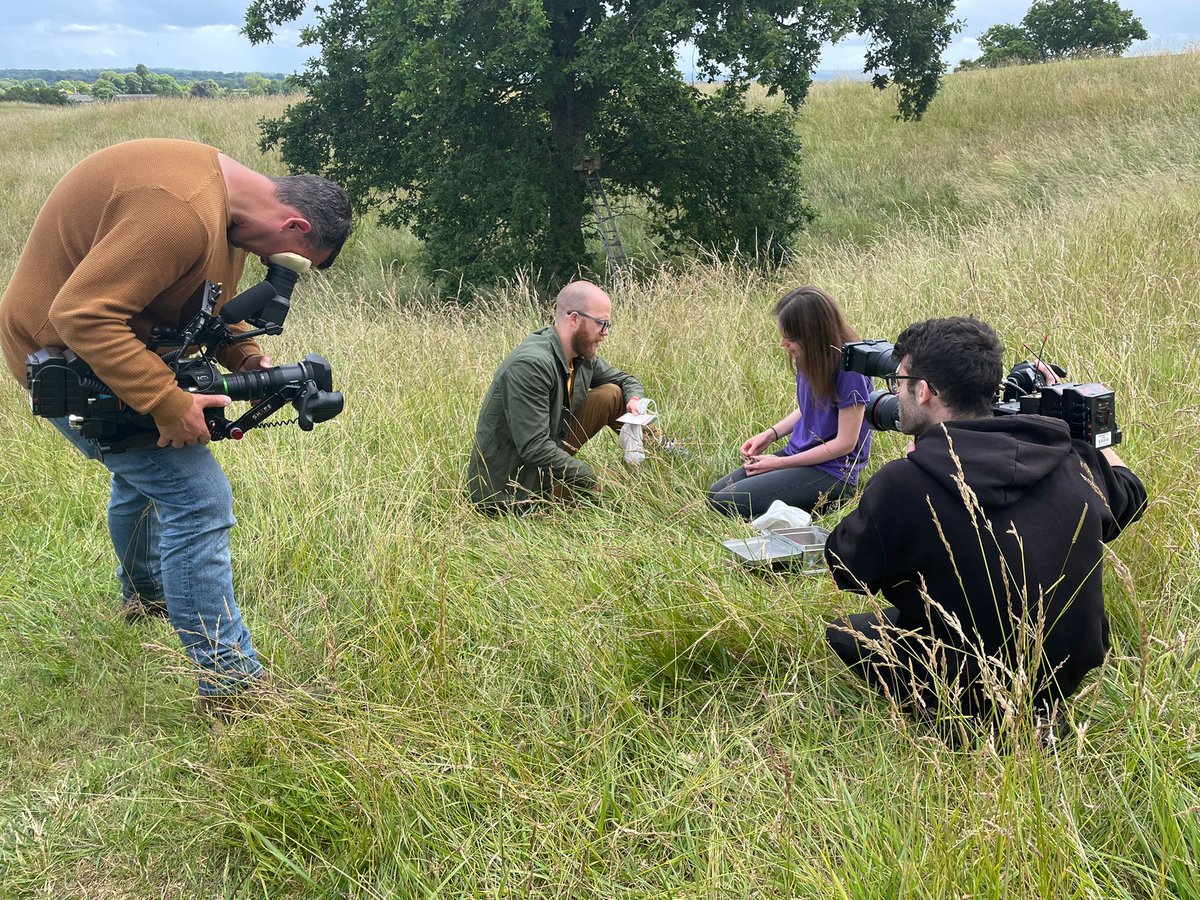 Jon Keepen tweet media