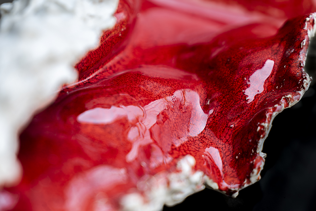 A partir de un viaje introspectivo, Erick Meyenberg interconecta fragmentos que documentan la belleza de la vida cotidiana. bit.ly/Erick-Meyenber…

-
<a href="/Arte_Abierto/">Arte Abierto</a>
<a href="/ArtzPedregal/">ARTZ Pedregal</a> 
#ThingsWeDoForLove