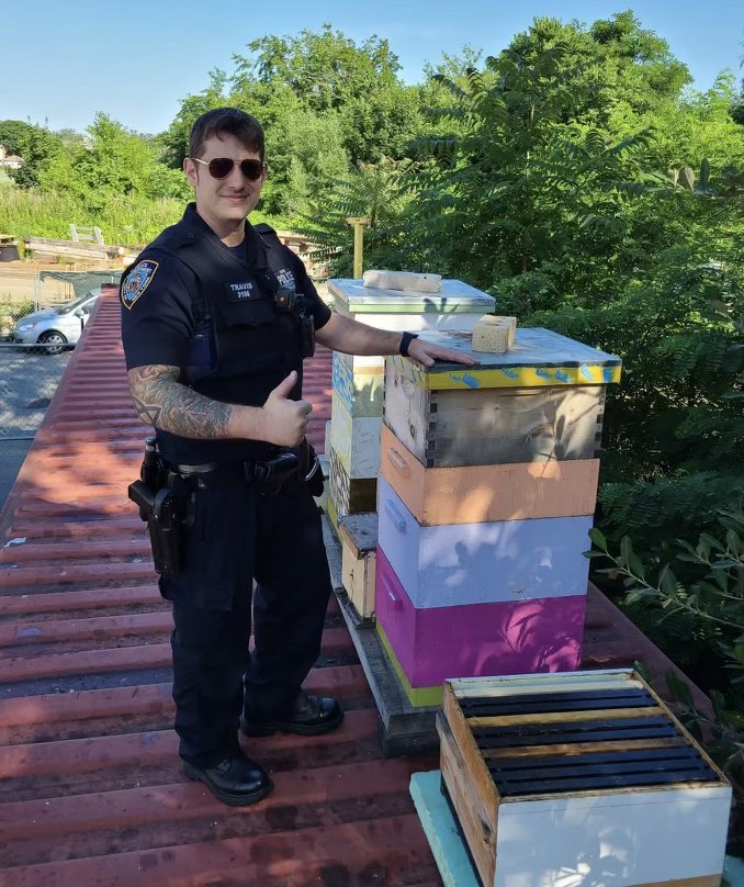 NYPD Bees tweet media
