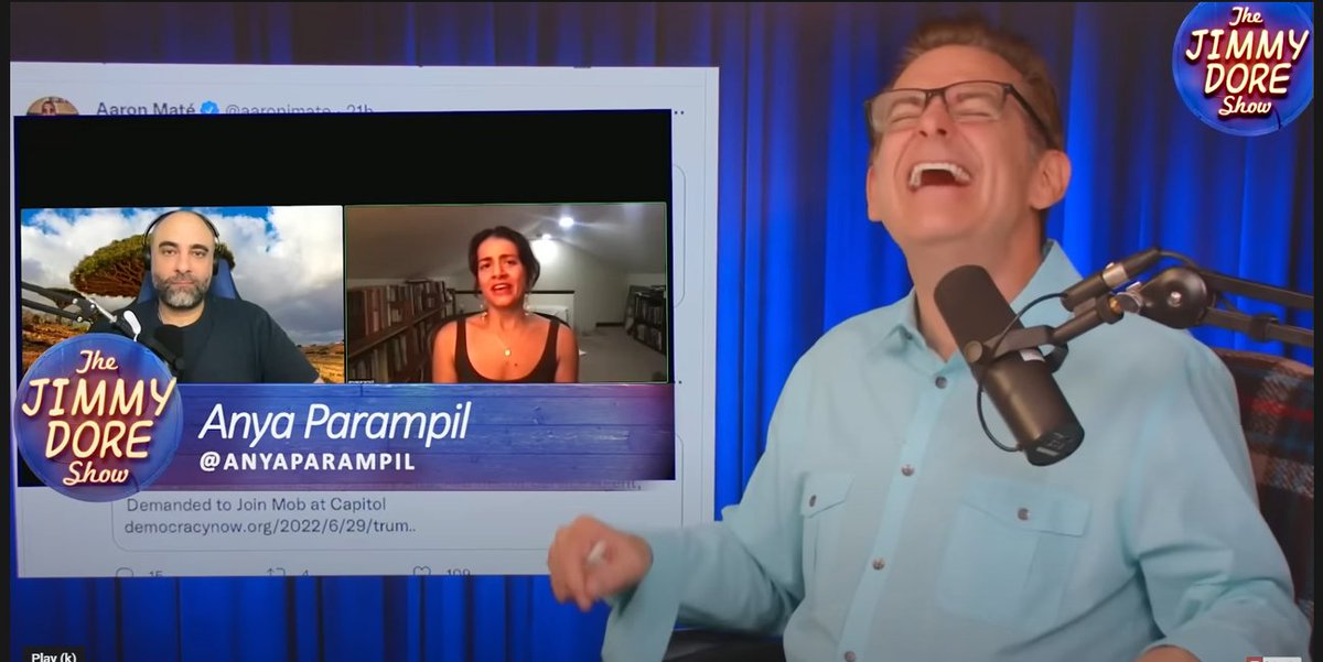 Tellecter's tweet image. This is the moment @anyaparampil compared @AVindman's lying to Cassidy Hutchinson's lying on the @jimmy_dore