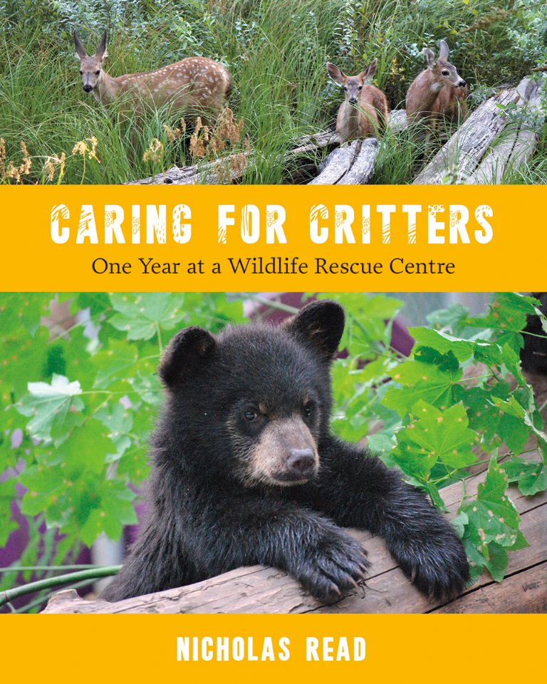 booksinbc's tweet photo. #BookReview Caring for Critters: One Year at a #WildlifeRescue Centre by #NicholasRead https://t.co/tlg1uHK3gv "An emotionally charged story that invites humans to slip into the paws, or feet, of the other beings that inhabit this planet" @HHPublishing @CritterWildlife #BCMammals https://t.co/omA8GinRZg