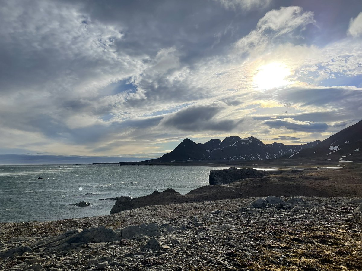 At last, not without some trouble on the way, our team started our #fieldwork with Little Auks in Hornsund! 🤩 #teamAuk  📸 by Dominka Włoch-Salomon