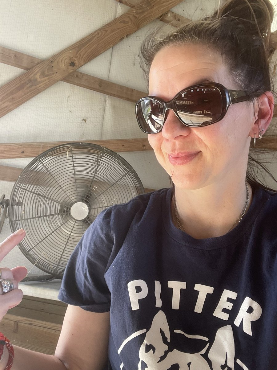 311eons's tweet photo. Seem like a good place to sit at horseback in 90 degree heat?  Yes, yes it does. #horsemom #thankyoujesusforwhoeverinventedfans #letterkennytshirt #pitterpatter https://t.co/1MrkwTAA0B
