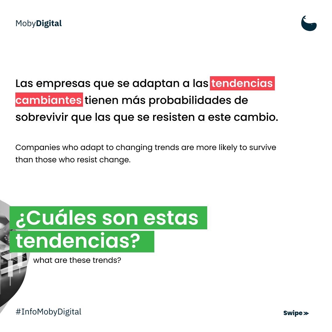 MobyDigital tweet media