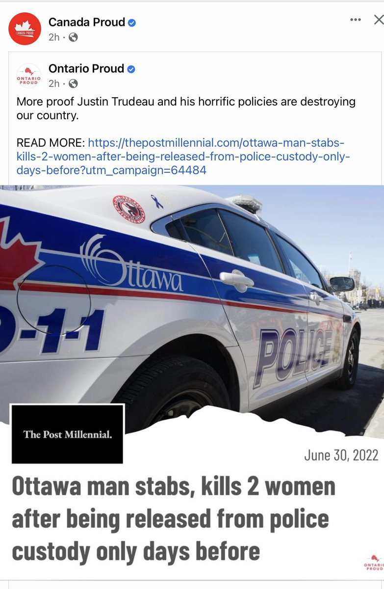 SaskLass's tweet photo. Ladies and Gentlemen . This is Trudeau’s Canada. 
This violent thug gets released from jail, but Tamara Lich is held in jail for “breaking probation”. Are we angry yet? 🤬 Honk Honk https://t.co/OMerATGytg
