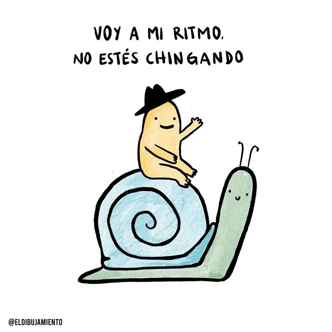 tleokoyani's tweet photo. recordatorio para caracoles: https://t.co/hkFoSgadma