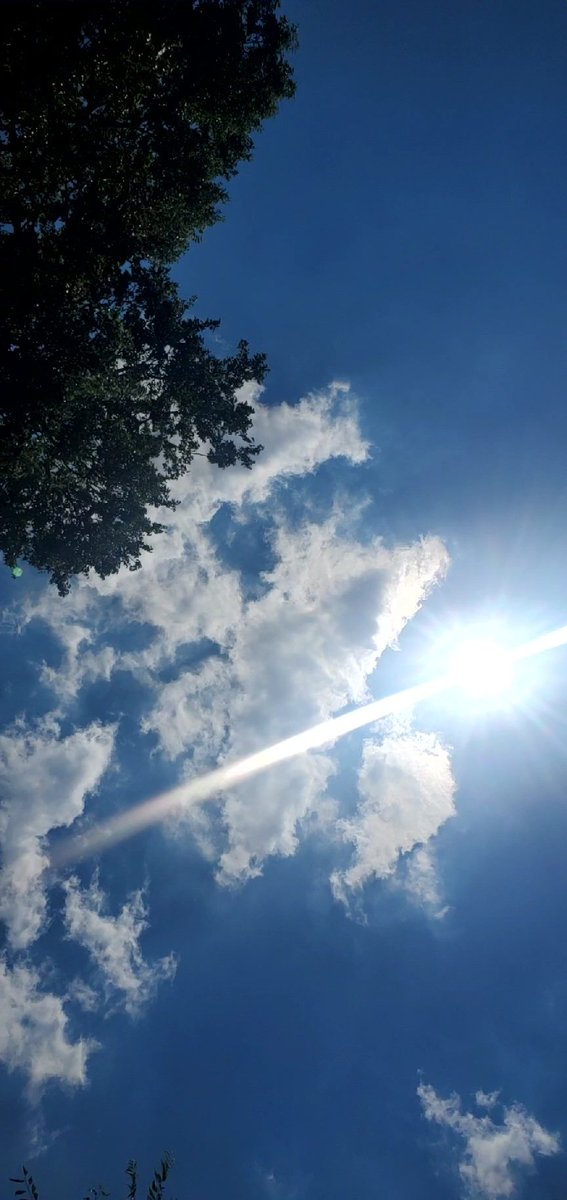 trytheupgrade's tweet image. #skyvibes @DrDan2007 @Caro_lines11 @clamezcua1 @Lulaseraph @krystallineaura @SHAMANMICHELLE @Patrici24436168