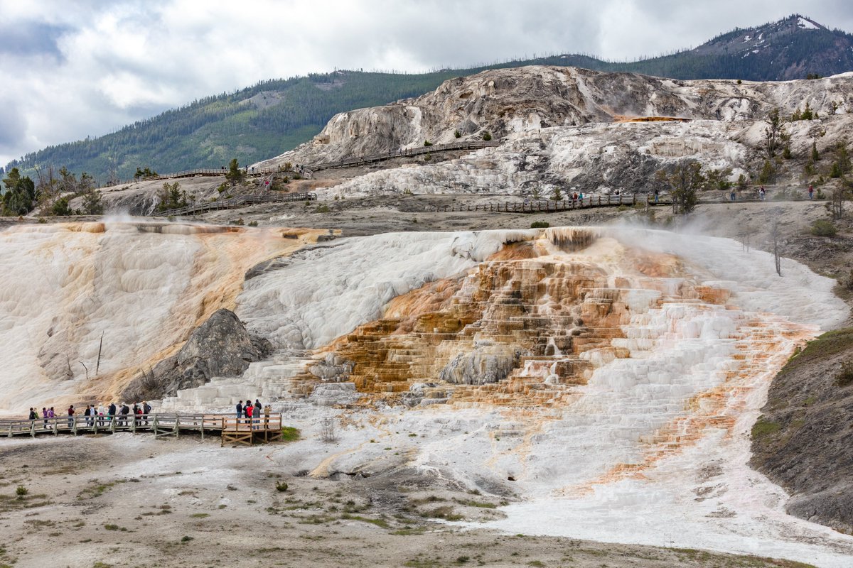 ⚠️ 6/30 UPDATE ⚠️
Yellowstone to reopen north loop July 2 and suspend Alternating License Plate System, 93% of roadways will be open! Learn more: go.nps.gov/220613