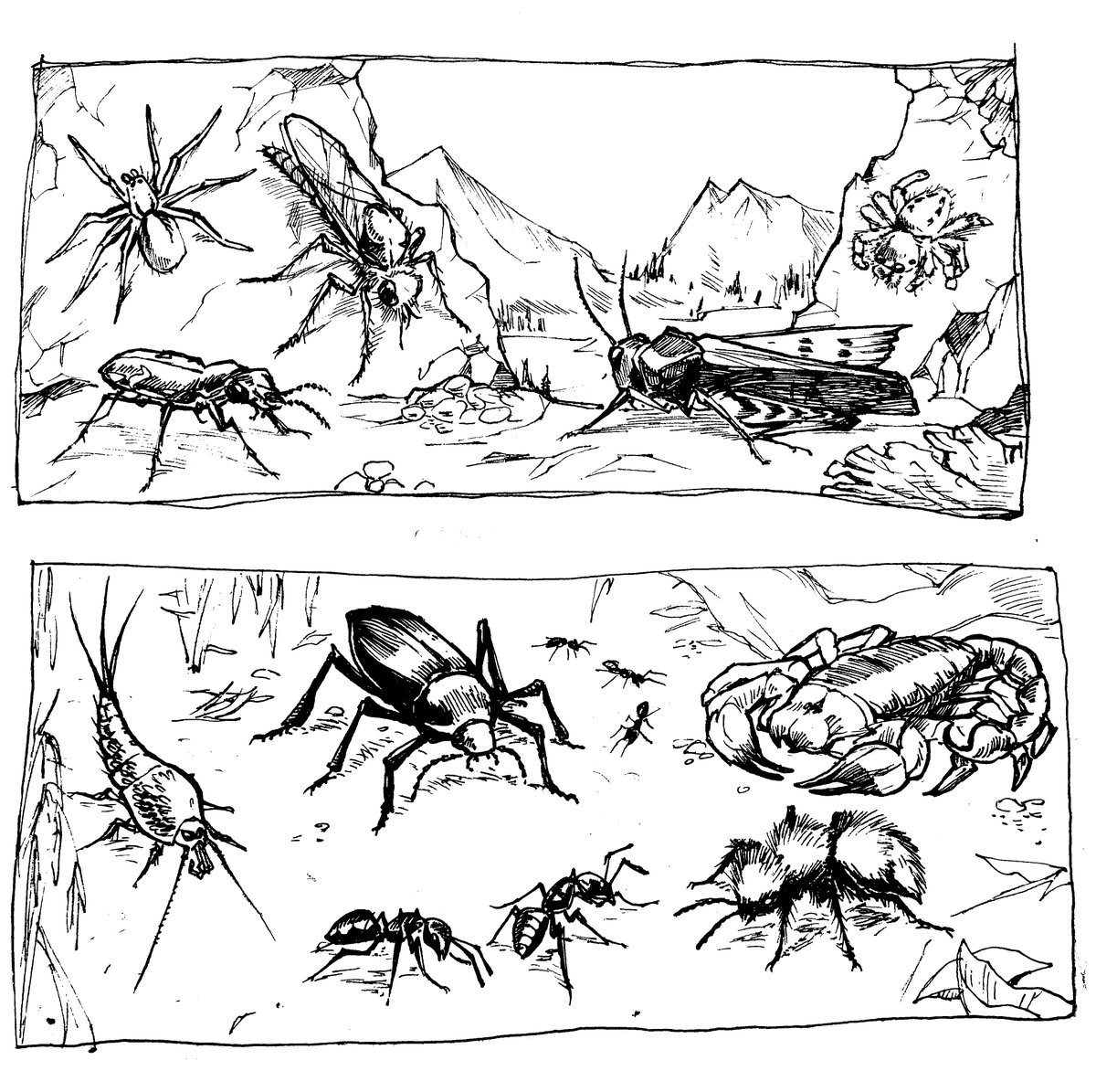 bugs of the sierras, I'll color it later... 