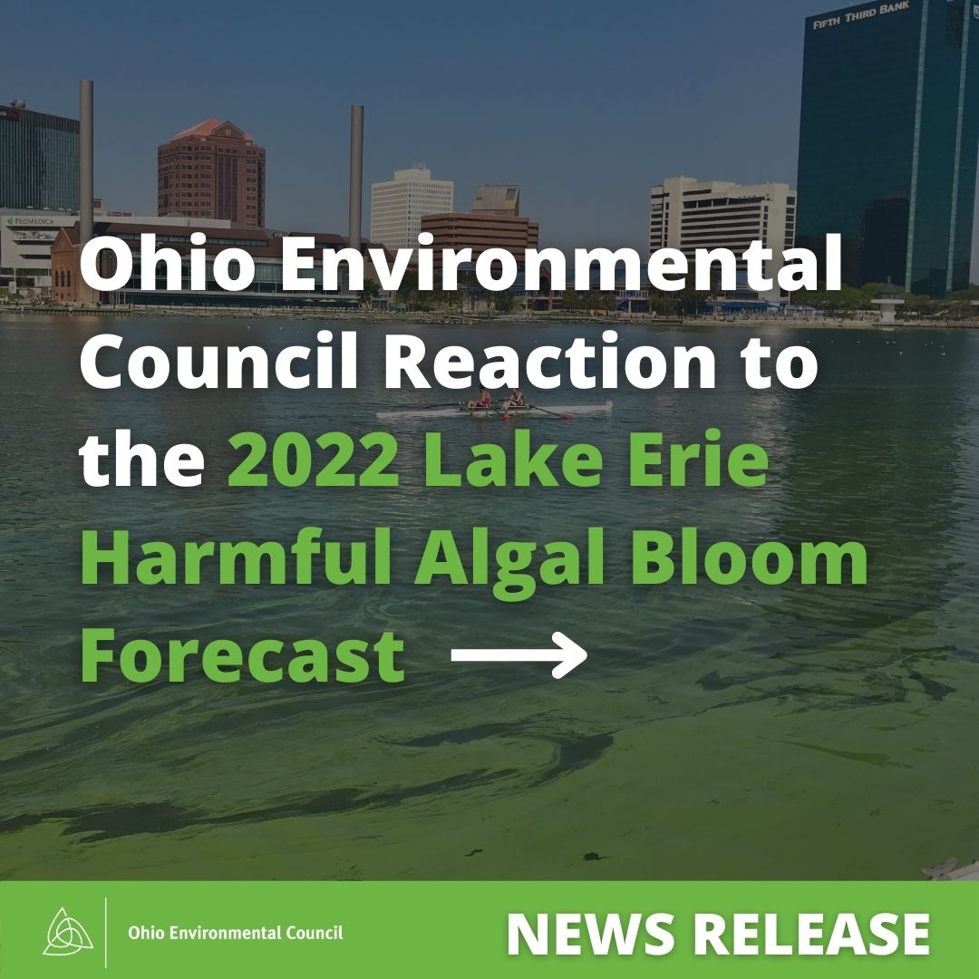 OhioEnviro's tweet photo. Today @NOAA released its annual Harmful Algal Blooms (HABs) projection for the Western #LakeErie basin. Scientists project the 2022 bloom will have a severity of 3.5.

Ohioans deserve access to clean water year round. Read our statement on the 2022 report: https://t.co/8uLETLkE03 https://t.co/FkOqmQfN0R