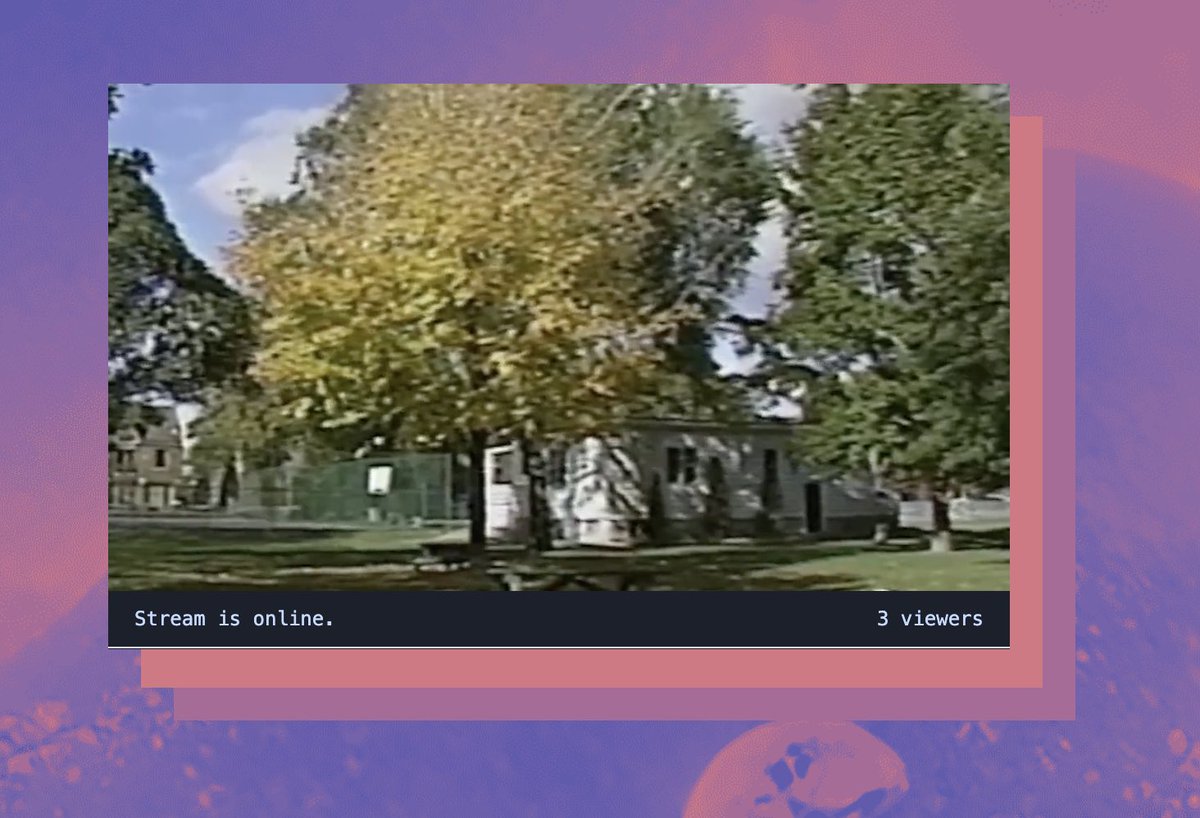 Happy Thursday! Need a calm vibe in your life? Currently streaming: 8+ hours of ambient music and VHS Broll tapes @gglliittcchh_tv 

#Film3 #ambientvideo #ambientmusic #VHS