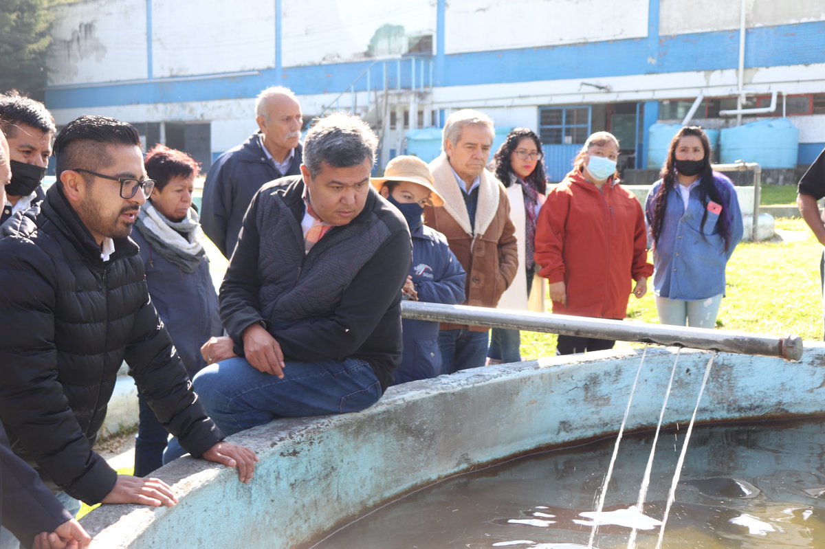 OctavioAlmada1's tweet photo. 🎥 Hoy visité el Centro Acuícola “El Zarco”, emblemático lugar y líder nacional en producion de Trucha. 
Agradezco a todo el equipo de colaboradores y reconozco el gran trabajo que realizan. https://t.co/MB6bLaG6iM
