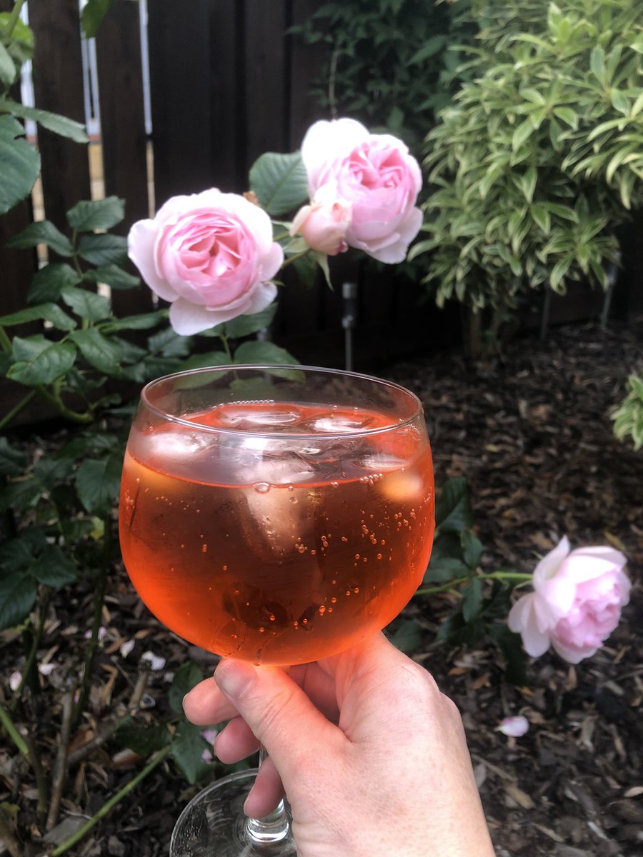 ListerJenn's tweet photo. Holiday Mode activated - you can bring out the sunshine anytime now ☀️ 🤞#AperolTime #ReadyforSunshine #RainCanFeckOff https://t.co/5M4euhwG7S