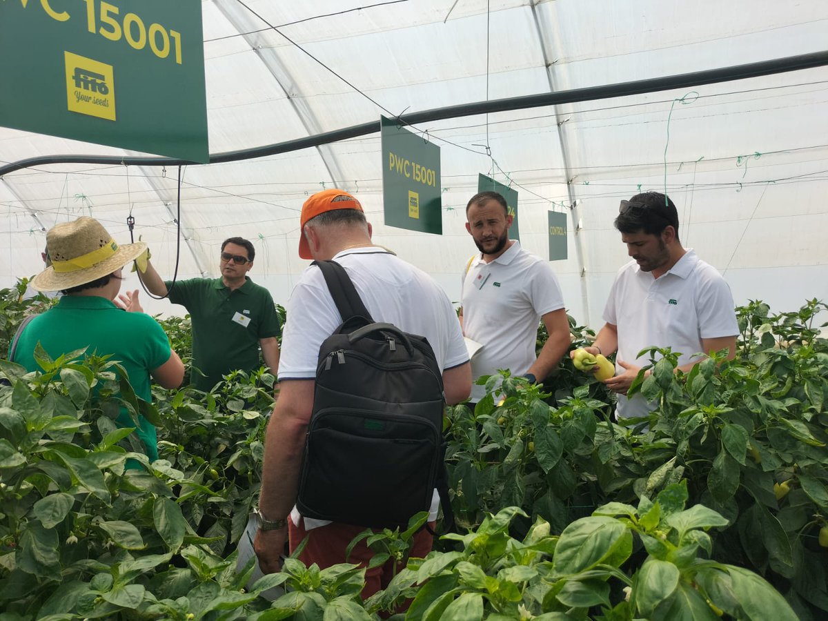 SemillasFito's tweet photo. 🇷🇸 We have celebrated the #Fitoweek Serbia 2022, held in #Leskovac, epicentre of agriculture in the country 🔝
🤝 We brought together our customers from Eastern Europe, Turkey and Central Asia, where they were introduced to new horticultural varieties adapted to market demands. https://t.co/29l3JlRMKI