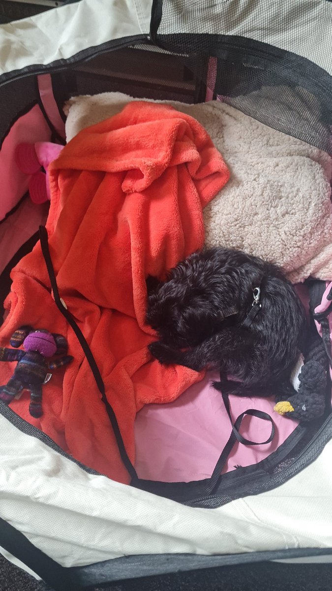 Today we had cake on station and a visit from a puppy 😍