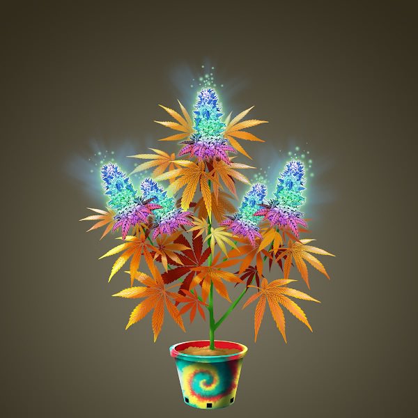 <a href="/ccccanadaeh/">CryptoCannabisClubCanada</a> Happy Canada Day, Eh? #CCC #TokerTakeover #NFTokers #NFTokins #CanadaDay2022