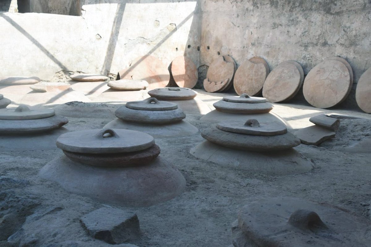 ❗️🆓Tornano le domeniche gratuite nei musei statali.
La prossima #domenicaalmuseo sarà il 3 Luglio 2022, ingresso gratuito alla Villa Regina di #boscoreale