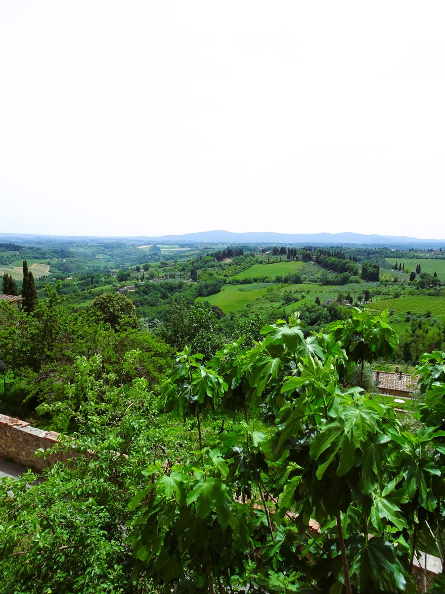 SueC_WordLoft's tweet photo. From San Gimignano's town walls, the countryside panorama of lush fields scattered with villas and spiky cypress trees is breathtaking.

#latestblogpost click next link: https://t.co/cRWvHKxARS #sangimignano #tuscany #italy #lushvalley #distantmountains https://t.co/iVUzTCG15f