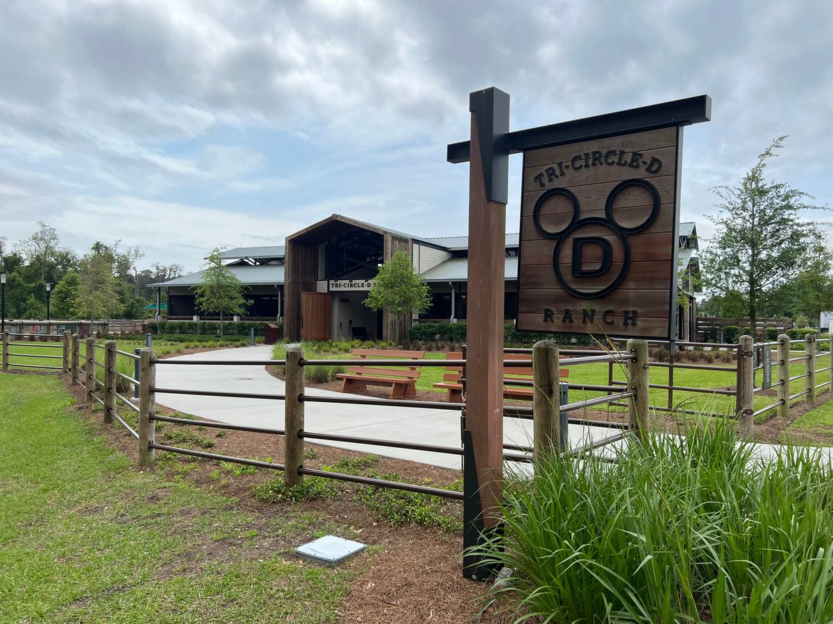 Did you know you can ride horses at Disney World? It’s one of the hidden gems of resort hopping. Not wanting to go, go, go at the parks everyday? We’ll help craft the vacation for YOU. We know the non-park resort fun.
