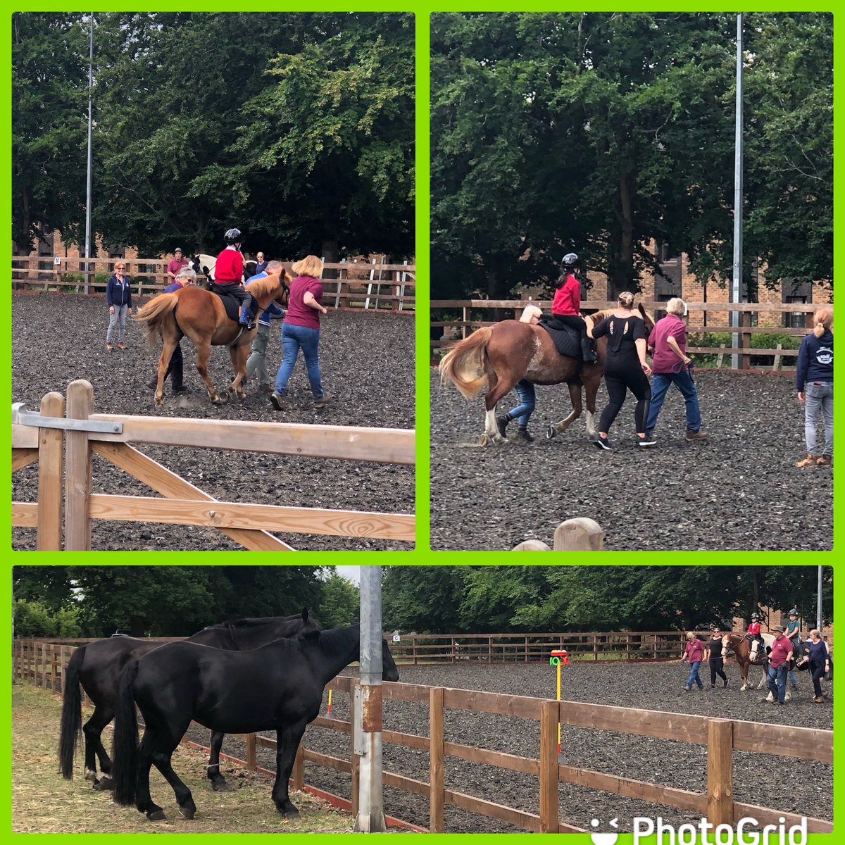 BagshotInfant's tweet photo. Our riders had a special ‘audience’ @sandhurstrda this morning 😀The two horses watching were fascinated by our children on their ponies, taking part in their relay races! https://t.co/6d0szkMvqJ