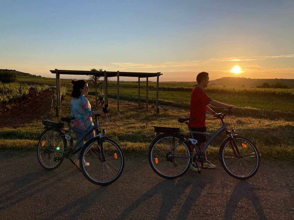 Así de bonito se verá el atardecer entre viñedos de #BodegasLecea mañana día 1 de julio para dar la #BienvenidaalVerano en nuestro viñedo de #Valpierre

📣ÚLTIMAS PLAZAS📣

🤗

Podéis elegir o combinar diferentes experiencias🍅🧀🚴‍♀️
Información y reservas: 
📞+34 658 010 400