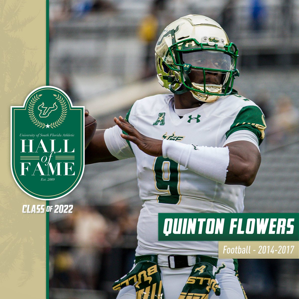 @USFAthletics's photo on Bulls