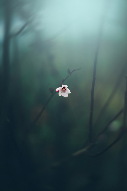 _monica_as's tweet photo. May you never cease to be amused by the simple things in life. ✦

📸 Tumblr https://t.co/pMErhfk2Gs