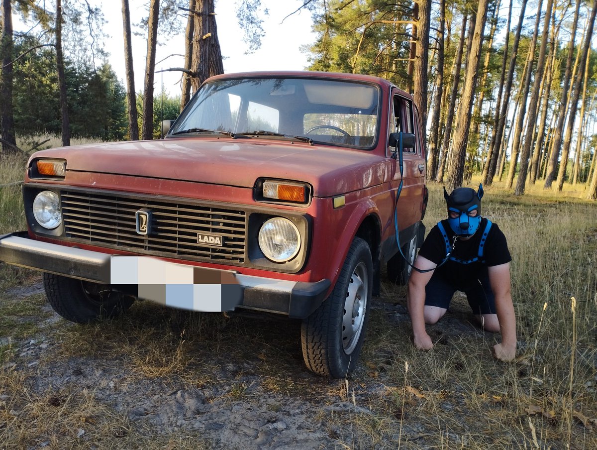 My paws hurt from walking in the sun. It's better in the woods 😋