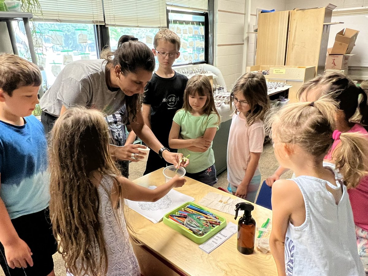 Carly Solberg tweet media