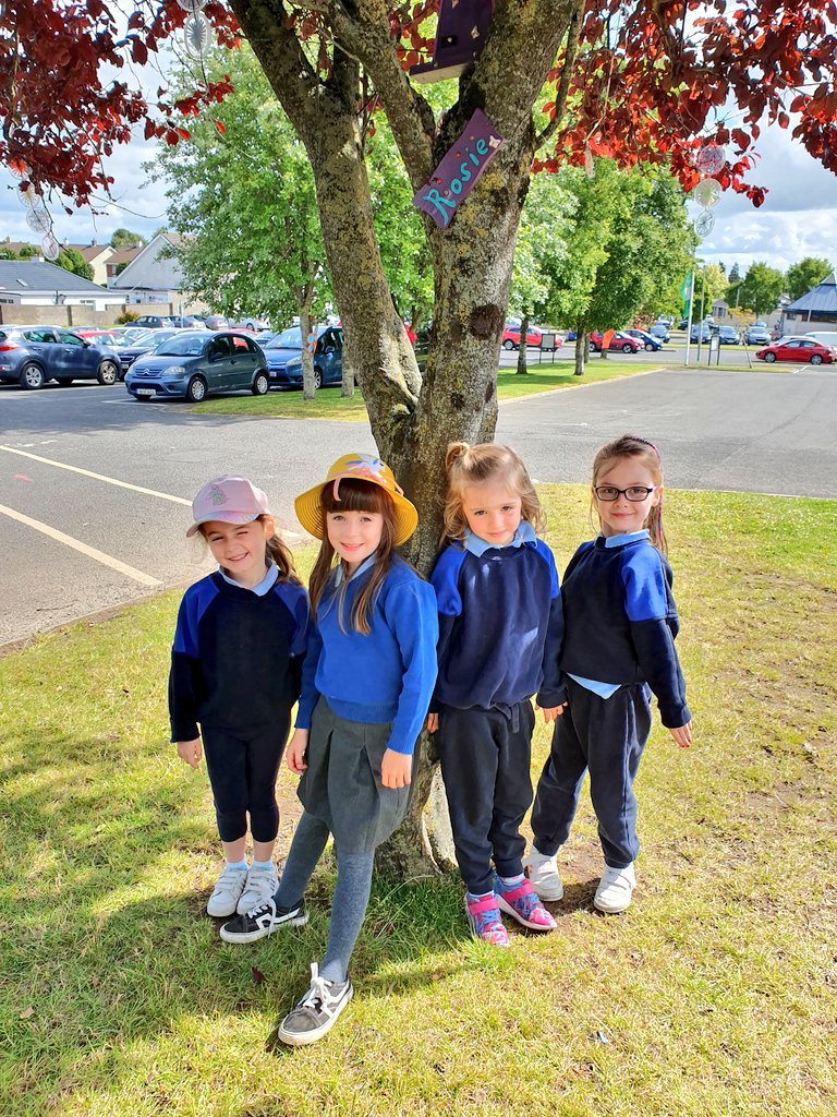 Sandra Hynes tweet media