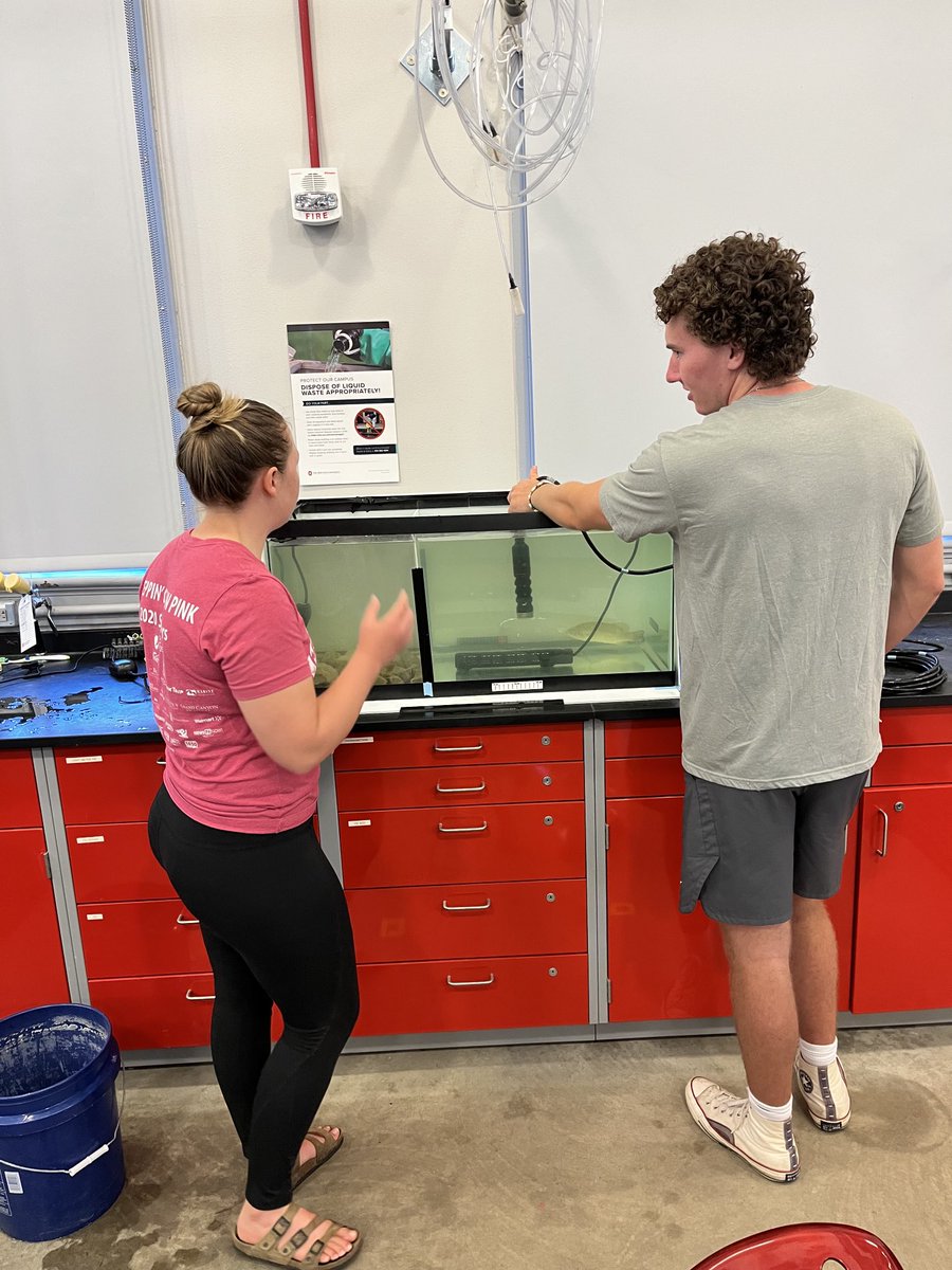 PintorLabOSU's tweet image. ⁦Thank you ⁦@stonelab⁩ for supporting ⁦@PintorLabOSU⁩ &amp;amp; ⁦@GrayFishLab⁩ students Noel &amp;amp; Mike (&amp;amp; our budding scientists) on our new project looking at effects of climate change stressors on bass-goby intxns!⁦@OSUEnvironment⁩ ⁦@CFAES_OSU⁩
