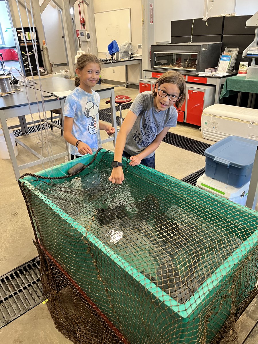 PintorLabOSU's tweet image. ⁦Thank you ⁦@stonelab⁩ for supporting ⁦@PintorLabOSU⁩ &amp;amp; ⁦@GrayFishLab⁩ students Noel &amp;amp; Mike (&amp;amp; our budding scientists) on our new project looking at effects of climate change stressors on bass-goby intxns!⁦@OSUEnvironment⁩ ⁦@CFAES_OSU⁩