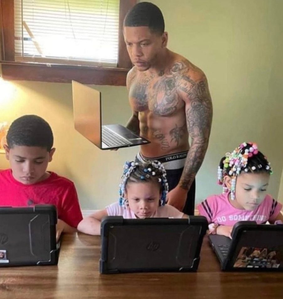 God Hates NFTs 🐇 tweet media