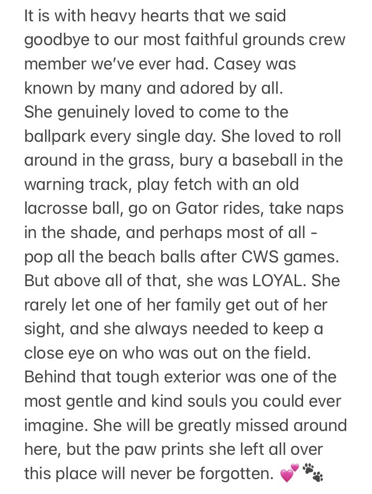cws_groundscrew's tweet photo. Some news to pass along ❤️‍🩹 https://t.co/IaviXUTvHb
