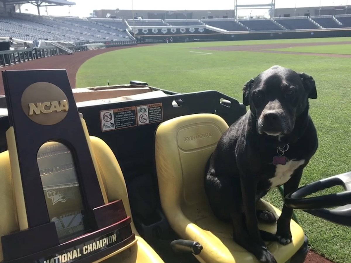 cws_groundscrew's tweet photo. Some news to pass along ❤️‍🩹 https://t.co/IaviXUTvHb