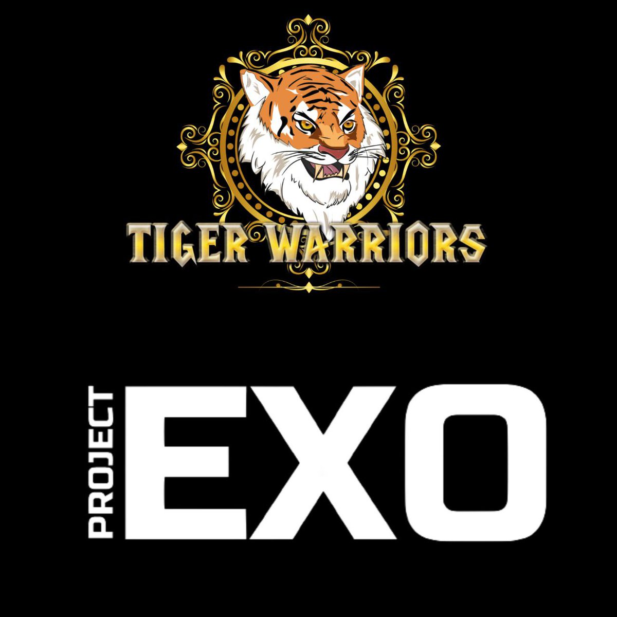 PlanetZUUD's tweet photo. 🐯 @EXO_WARRIORNFT  swept 41 #TigerWarriors from the floor for staking rewards 🧹

📢The 250 collection #EXOPets is minting LIVE on 
@rareboard

⚔ Join the TG https://t.co/Cus8D94Fja for the latest updates.

💥The team has dropped additional 5 Tigers for the EXO Treasury. https://t.co/oxajhj3D1n