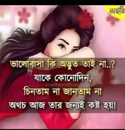 rasaida tweet media