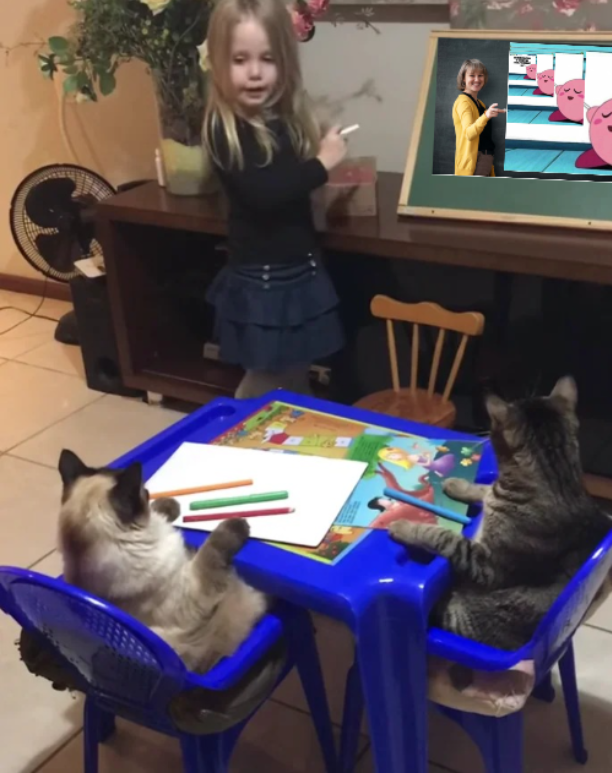 HmisMemes's tweet photo. Practicing the pitch of my NHSDC presentation "How Memes can Inspire Change" with a very rough crowd. https://t.co/s1v1P0pgis