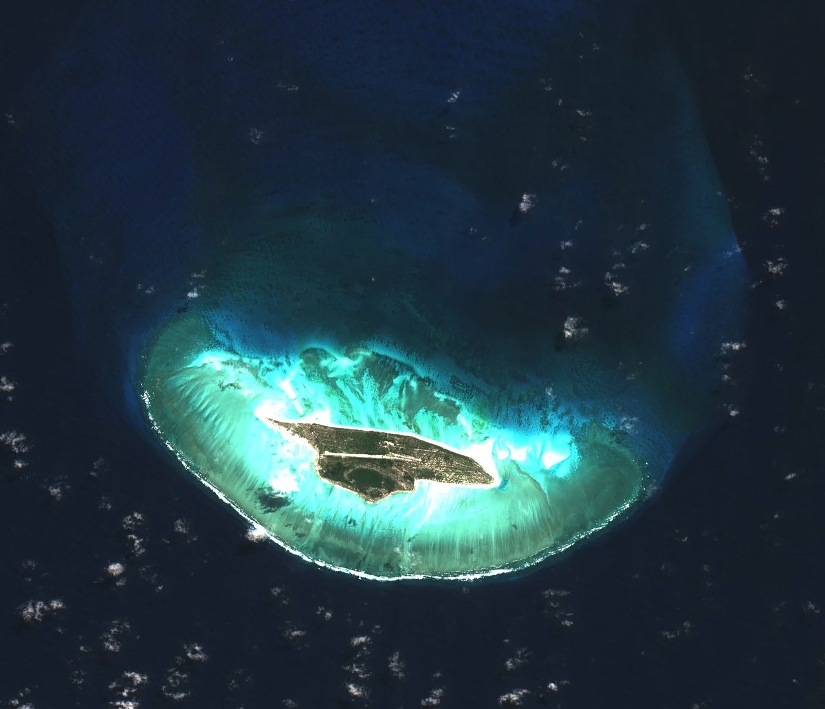 97px | IMAGE OUTREMER tweet media