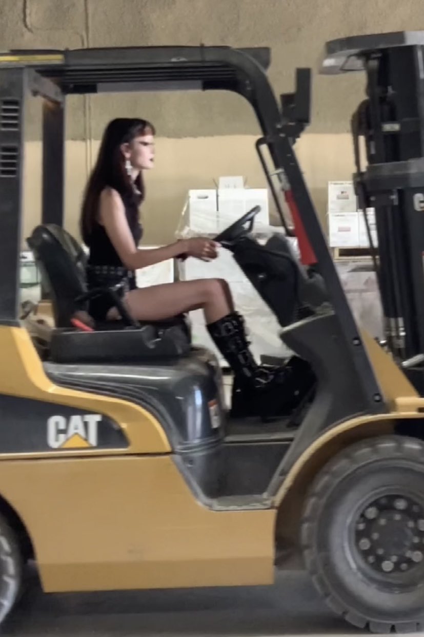 TW Pornstars Vitt. Twitter. democrat forklift operator. 809 PM 30