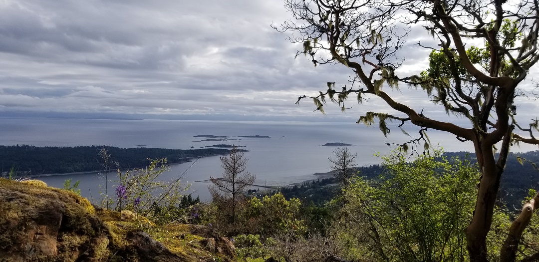 #Thisiswherewework Copley Ridge LookOut in the town of Lantzville, mins north of Nanaimo. A 45 minute hike brings you to this majestic view point of Nanoose, the Winchelsea Islands & the Salish Sea. Were truly blessed to live & play in such a beautiful part of the world